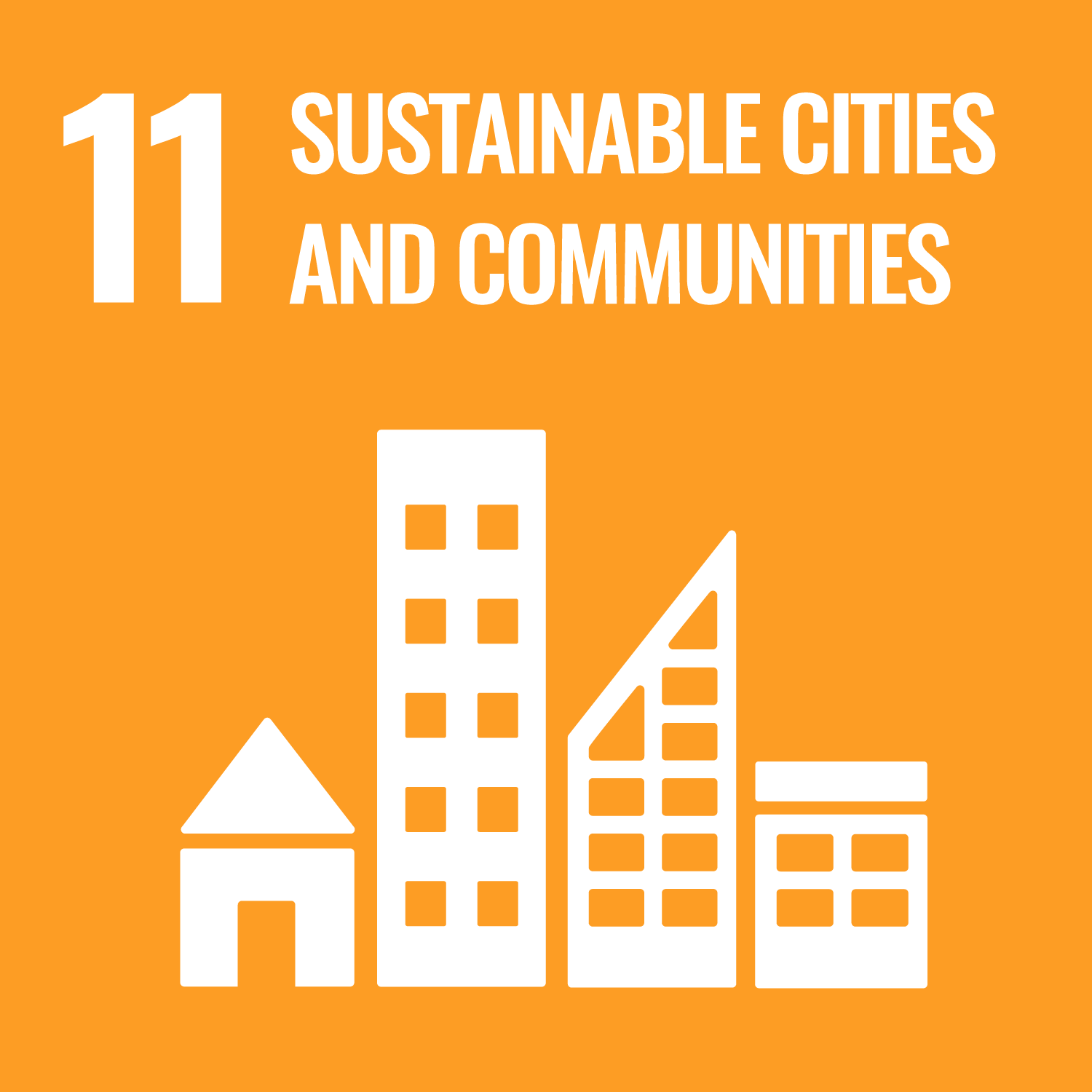 SDG 1