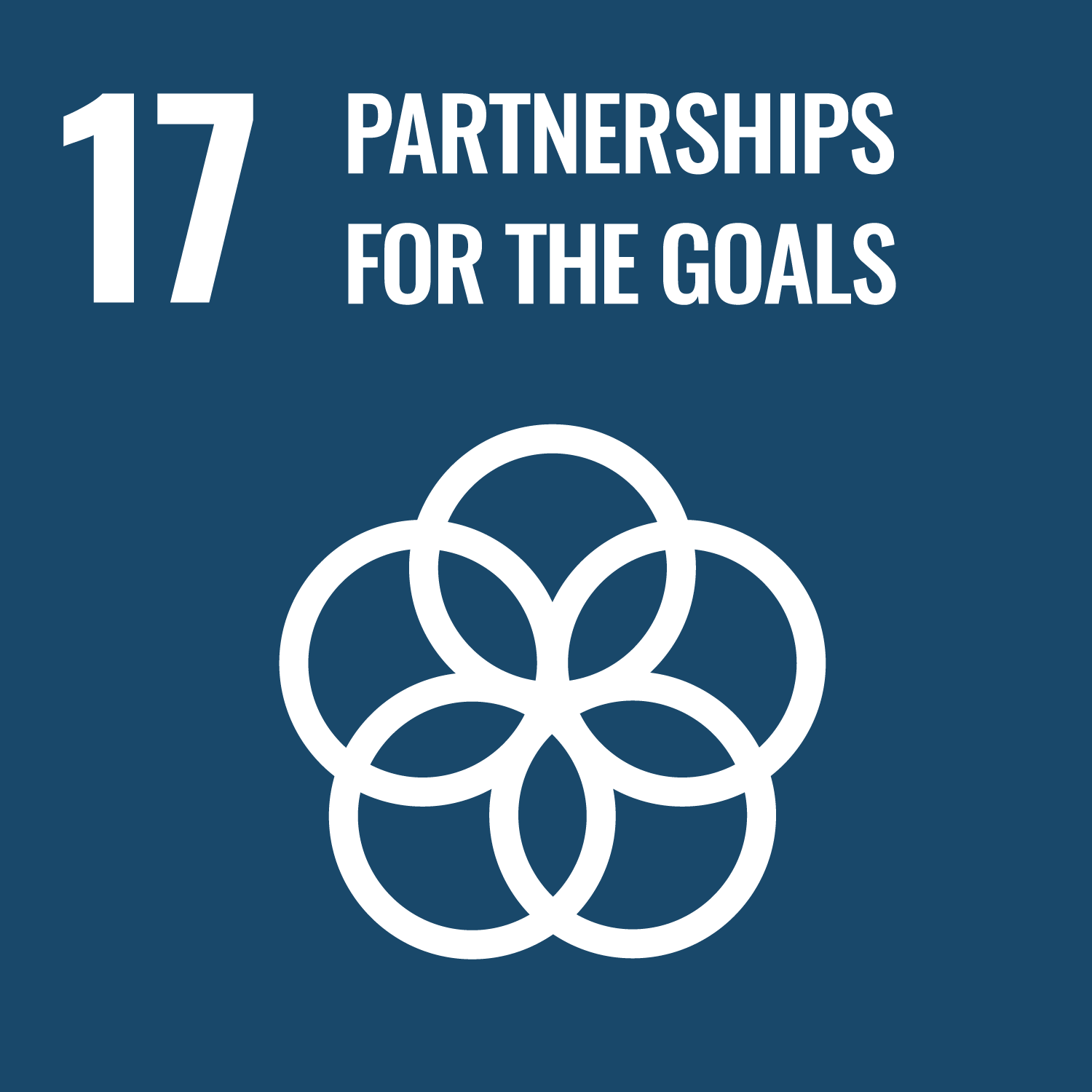 SDG 1